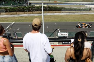 Fans at Misano World Circuit Marco Simoncelli