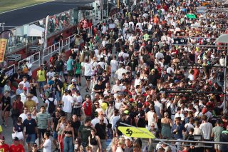 Fans at Misano 