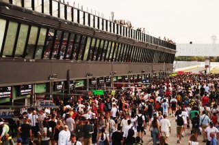 Fans on the Pitwalk / Autograph Session