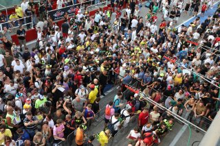 Fans at Misano 