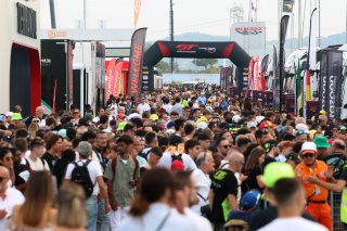 Fans at Misano 
