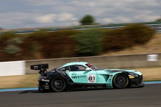 #81 - Winward Racing - Marvin DIENST - Rinat SALIKHOV - Mercedes-AMG GT3 EVO 