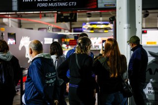 Fans pit walk by night