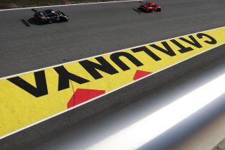 #22 - Schumacher CLRT - Ayhancan GUVEN - Larry TEN VOORDE - Alessandro GHIRETTI - Porsche 911 GT3 R (992)
