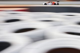#24 - Steller Motorsport - Adam ALI - Daniel ALI - Lorcan HANAFIN - Corvette Z06 GT3.R
