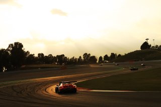 #80 - Lionspeed GP - Ricardo FELLER - Gabriel RINDONE - Patrick KOLB - Porsche 911 GT3 R (992)