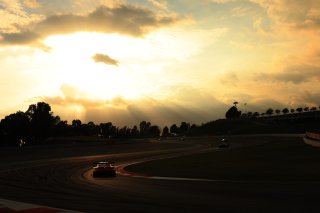 #80 - Lionspeed GP - Ricardo FELLER - Gabriel RINDONE - Patrick KOLB - Porsche 911 GT3 R (992)