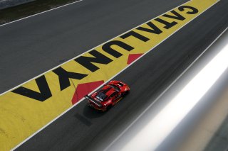 #911 - Pure Rxcing - Richard LIETZ - Aliaksandr MALYKHIN - Thomas PREINING - Porsche 911 GT3 R (992)
