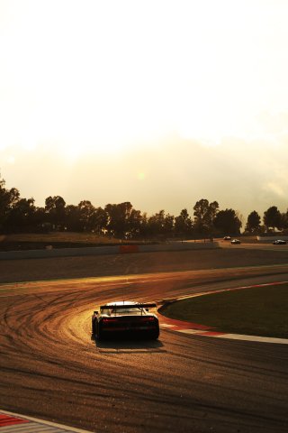 #99 - Tresor Attempto Racing - Leonardo MONCINI - Alex AKA - Sebastian OGAARD - Audi R8 LMS GT3 EVO II