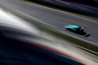 #81 - Winward Racing - Gabriele PIANA - Rinat SALIKHOV - Marvin DIENST - Mercedes-AMG GT3 EVO