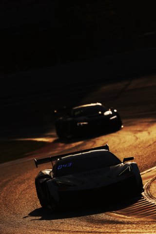 #24 - Steller Motorsport - Adam ALI - Daniel ALI - Lorcan HANAFIN - Corvette Z06 GT3.R