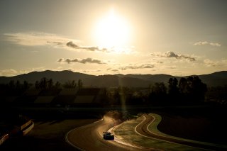 #9 - Boutsen VDS - Maximillian GOTZ - Mikael GRENIER - Maxime MARTIN - Mercedes-AMG GT3 EVO