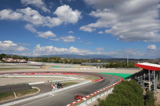 #911 - Pure Rxcing - Richard LIETZ - Aliaksandr MALYKHIN - Thomas PREINING - Porsche 911 GT3 R (992)