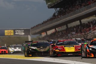#50 - AF Corse - Francorchamps Motors - Eliseo DONNO - Antonio FUOCO - Arthur LECLERC - Ferrari 296 GT3 
