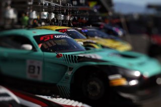 #81 - Winward Racing - Gabriele PIANA - Rinat SALIKHOV - Marvin DIENST - Mercedes-AMG GT3 EVO