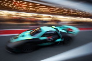 VIP rides during the pitwalk 
