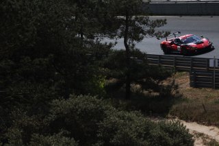 #14 - Emil Frey Racing - Konsta LAPPALAINIEN - Ben GREEN - Ferrari 296 GT3 
