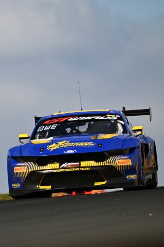 #64 - HRT Ford Performance - Jusuf OWEGA - Romain ANDRIOLO - Ford Mustang GT3
