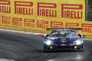 #69 - Emil Frey Racing - Thierry VERMEULEN - Chris LULHAM - Ferrari 296 GT3 