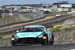 #81 - Winward Racing - Gabriele PIANA - Rinat SALIKHOV - Mercedes-AMG GT3 EVO 