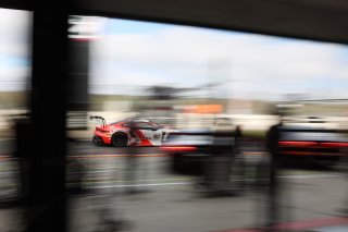 #80 - Lionspeed GP - Ricardo FELLER - Gabriel RINDONE - Porsche 911 GT3 R 