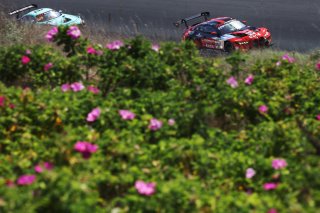 #992 - Paradine Competition - Maxime OOSTEN - Mex JANSEN - BMW M4 GT3 EVO