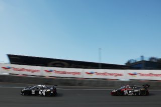 #24 - Steller Motorsport - Matisse LISMONT - Jesse SALMENAUTIO - Corvette ZO6 GT3.R
