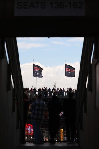 SRO Flags
