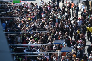 Fans at the Autograph session and pitwalk