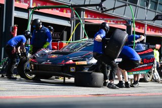#69 - Emil Frey Racing - Thierry VERMEULEN - Chris LULHAM - Ferrari 296 GT3 