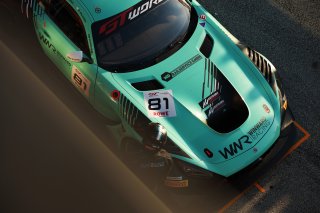 #81 - Winward Racing - Gabriele PIANA - Rinat SALIKHOV - Mercedes-AMG GT3 EVO 