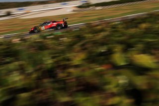 #14 - Emil Frey Racing - Konsta LAPPALAINIEN - Ben GREEN - Ferrari 296 GT3 