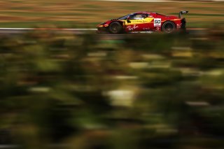 #50 - AF Corse - Francorchamps Motors - Arthur LECLERC - Thomas NEUBAUER - Ferrari 296 GT3
