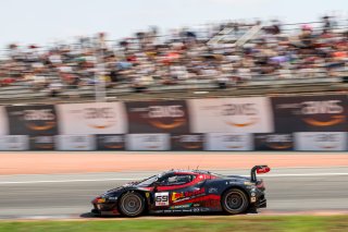 #69 - Emil Frey Racing - Thierry VERMEULEN - Chris LULHAM - Ferrari 296 GT3 