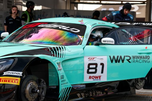#81 - Winward Racing - Marvin DIENST - Rinat SALIKHOV - Mercedes-AMG GT3 EVO  | SRO / JEP