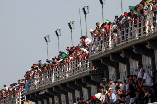 Fans in Valencia