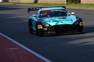#81 - Winward Racing - Marvin DIENST - Rinat SALIKHOV - Mercedes-AMG GT3 EVO 