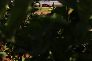 #14 - Emil Frey Racing - Konsta LAPPALAINIEN - Ben GREEN - Ferrari 296 GT3 