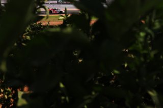 #80 - Lionspeed GP - Ricardo FELLER - Gabriel RINDONE - Porsche 911 GT3 R 