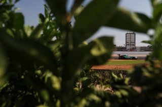 #81 - Winward Racing - Marvin DIENST - Rinat SALIKHOV - Mercedes-AMG GT3 EVO 