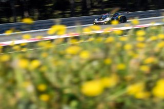 #2 - Boutsen VDS - Dorian BOCCOLACCI - Alessio PICARIELLO - Morris SCHURING - Porsche 911 GT3 R EVO