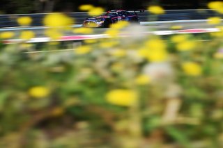 #222 - 2Seas Motorsport - Charles DAWSON - Kiern JEWISS - Reece BARR - Mercedes-AMG GT3 EVO