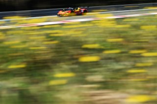 #51 - AF Corse - Alessio ROVERA - Nicklas NIELSEN - Tommaso MOSCA - Ferrari 296 GT3 EVO