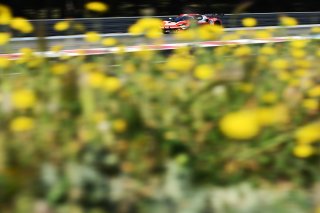 #71 - Selected Car Racing - Frederik SCHANDORFF - Simon BIRCH - Malte EBDRUP - Ferrari 296 GT3 EVO