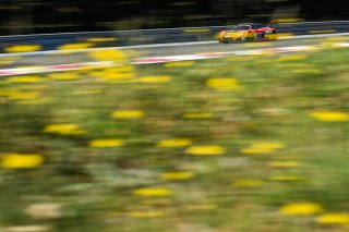 #84 - Eastalent Racing - Simon REICHER - Christopher HAASE - Markus WINKELHOCK - Audi R8 LMS GT3 EVO II