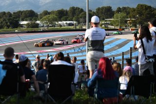 Fans Watching the Race
