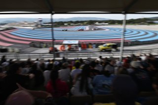 Fans Watching the Race