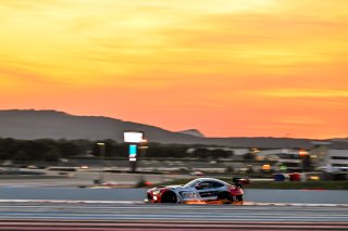 #17 - Mercedes-AMG Team GetSpeed - Fabian SCHILLER - Maximilian GOTZ - Maxime MARTIN - Mercedes-AMG GT3 EVO