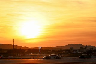 #80 - Lionspeed GP - Bastian BUUS - Ricardo FELLER - Thomas PREINING - Porsche 911 GT3 R EVO