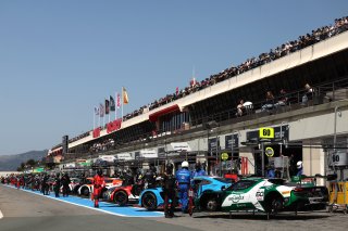 Cars line up in the pitlane ready for qualifying